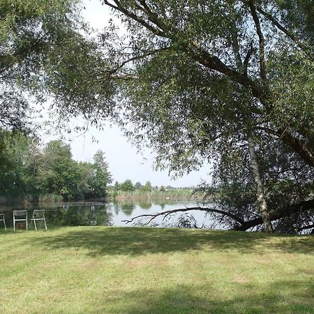 Ferienwohnungen Im Kunst.Haus Am See Doberlug-Kirchhain Exteriör bild