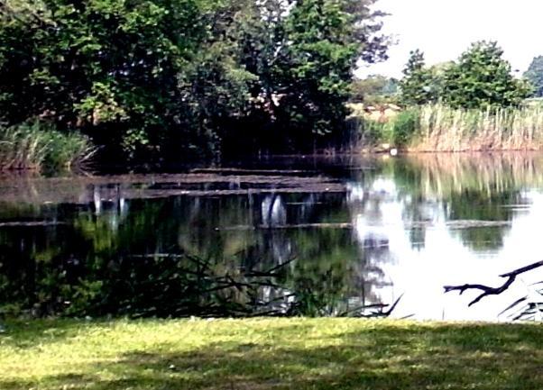 Ferienwohnungen Im Kunst.Haus Am See Doberlug-Kirchhain Exteriör bild