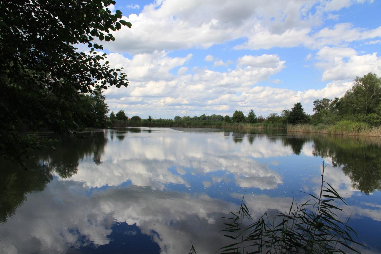 Ferienwohnungen Im Kunst.Haus Am See Doberlug-Kirchhain Exteriör bild